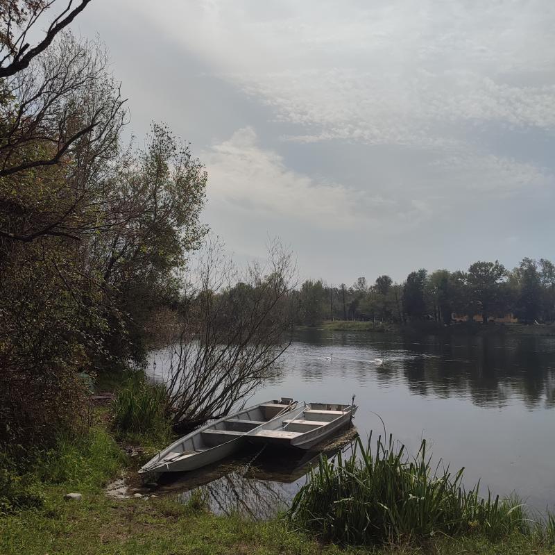 Fotosegnalazione di Castano primo