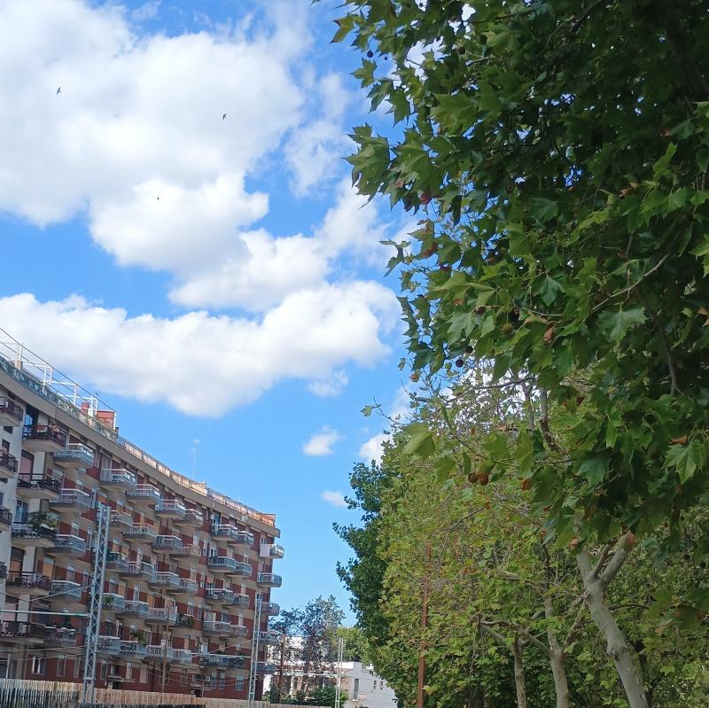 Fotosegnalazione di Rutigliano