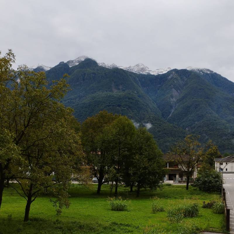Fotosegnalazione di Villa santina