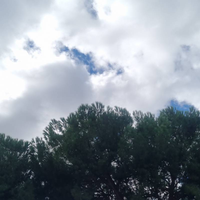 Fotosegnalazione di Firenze campo di marte