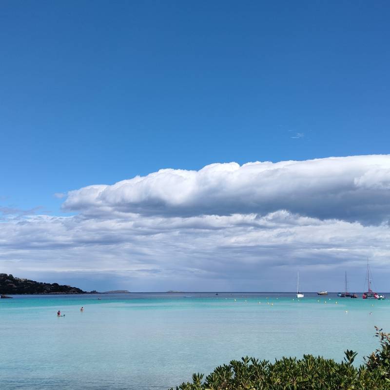 Fotosegnalazione di Porto vecchio