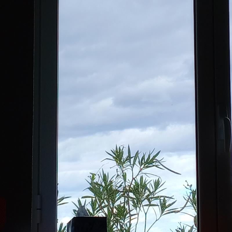 Fotosegnalazione di Piraino