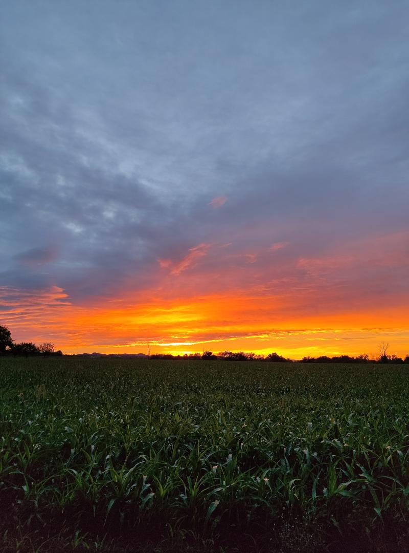 i bellissimi colori del tramonto.
