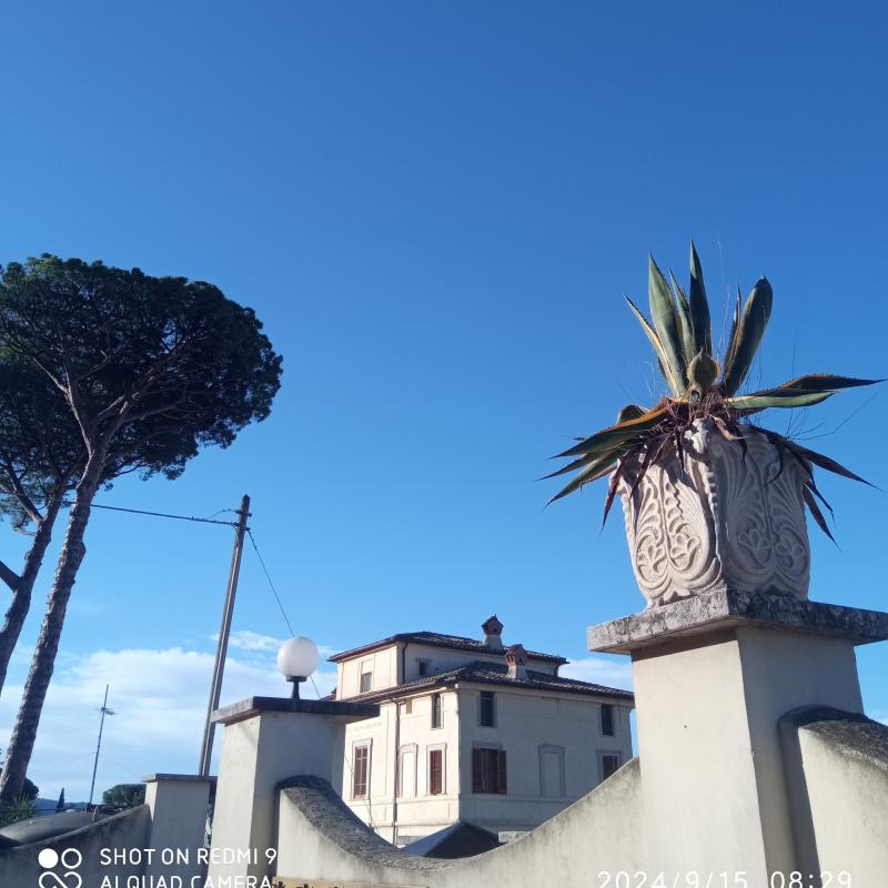 Fotosegnalazione di Palombara sabina