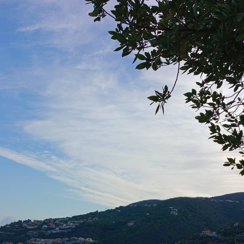 Fotosegnalazione di Piraino