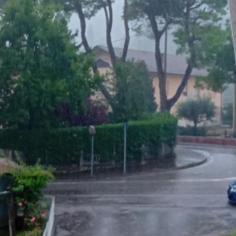 Fotosegnalazione di Mercato saraceno