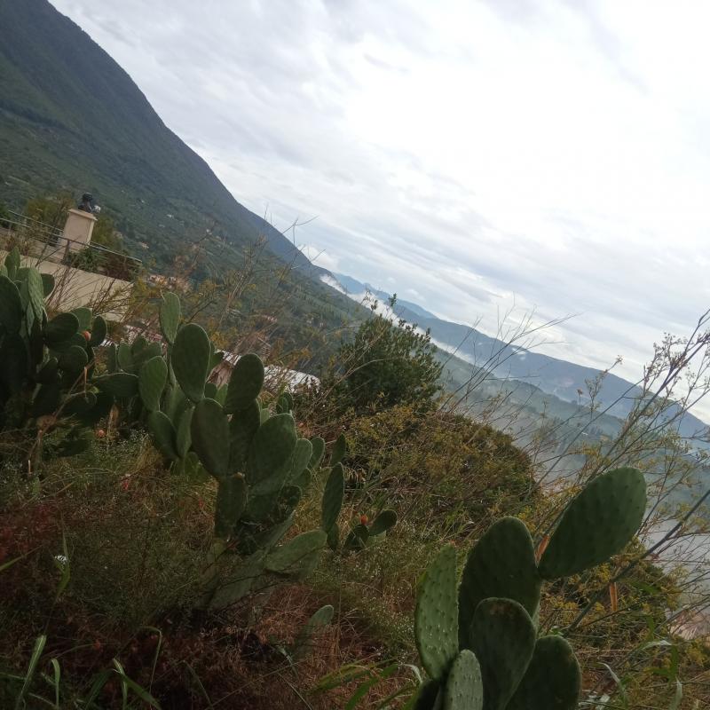 Fotosegnalazione di Palombara sabina