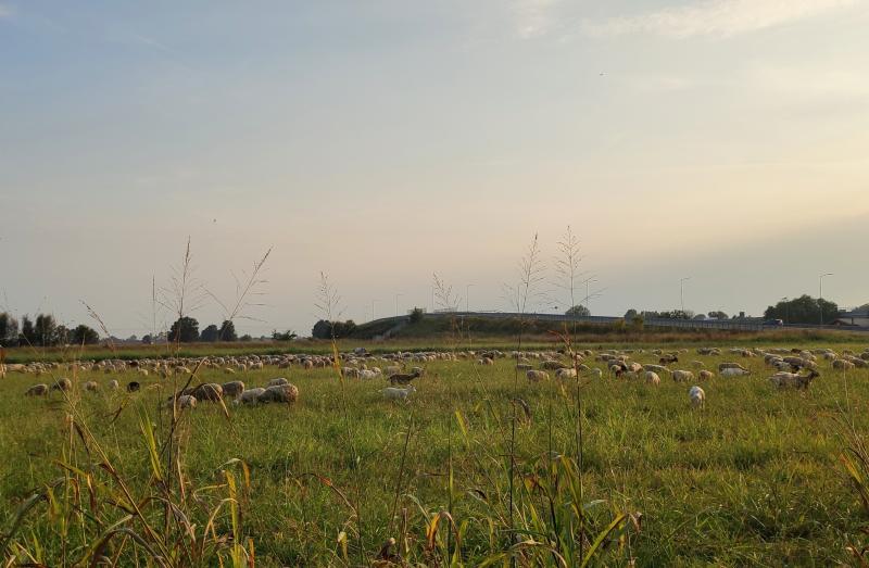 rientrate dai monti....nella campagna cremonese alle porte della citta'