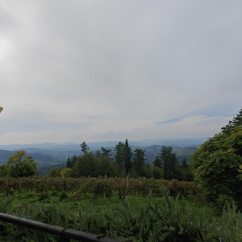 Fotosegnalazione di Monte san pietro