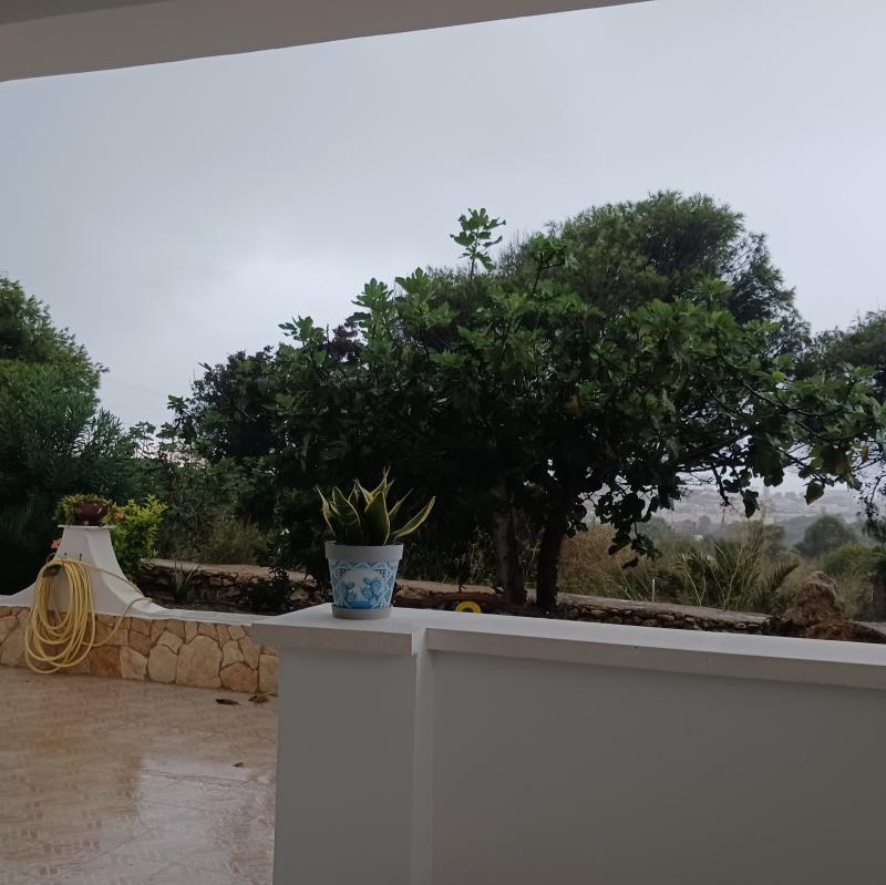Fotosegnalazione di Lampedusa e linosa