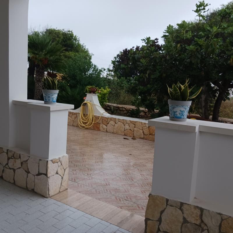 Fotosegnalazione di Lampedusa e linosa