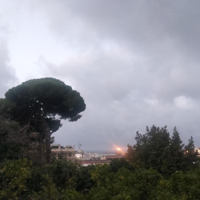 Fotosegnalazione di Genova sestri ponente