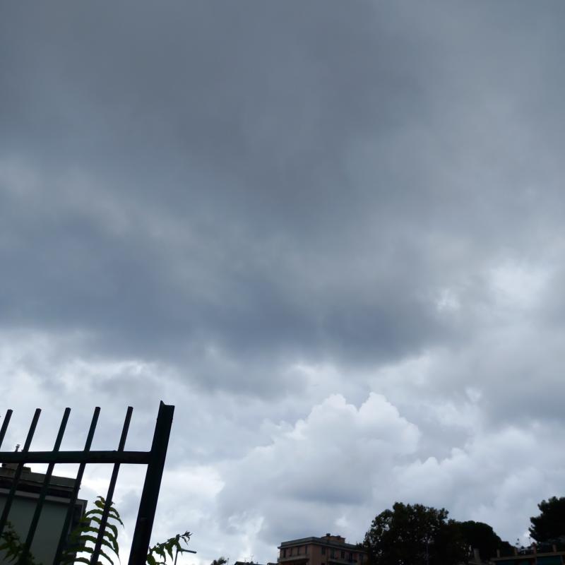 Fotosegnalazione di Genova sturla