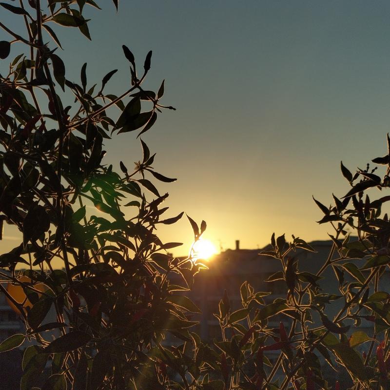Fotosegnalazione di Vasto
