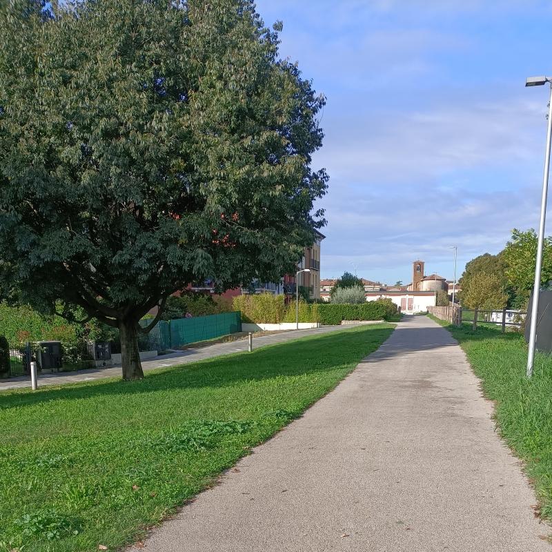 Fotosegnalazione di Mantova centro