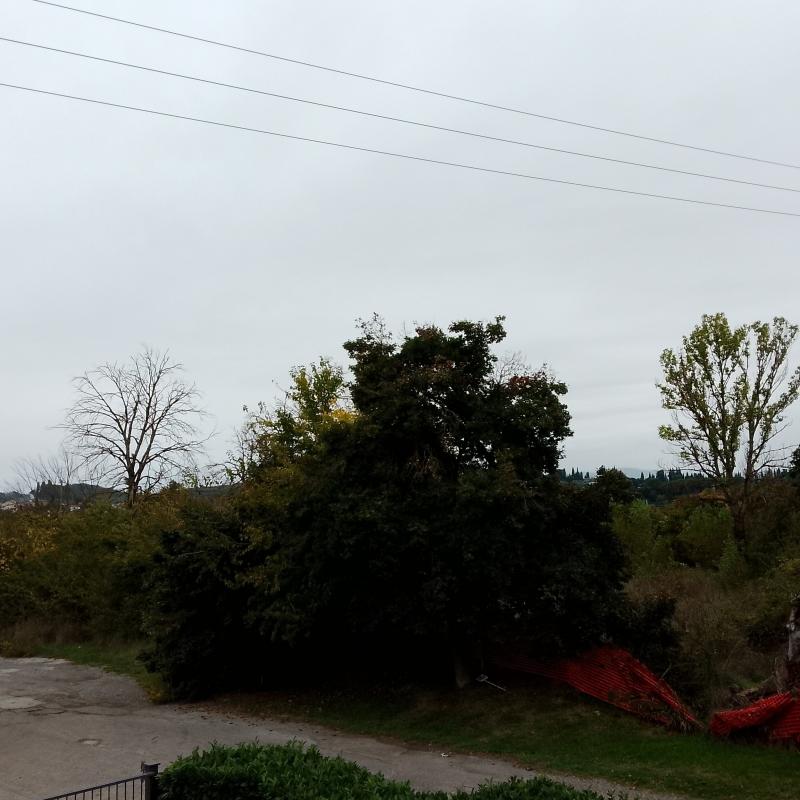 Fotosegnalazione di Arezzo chiassa