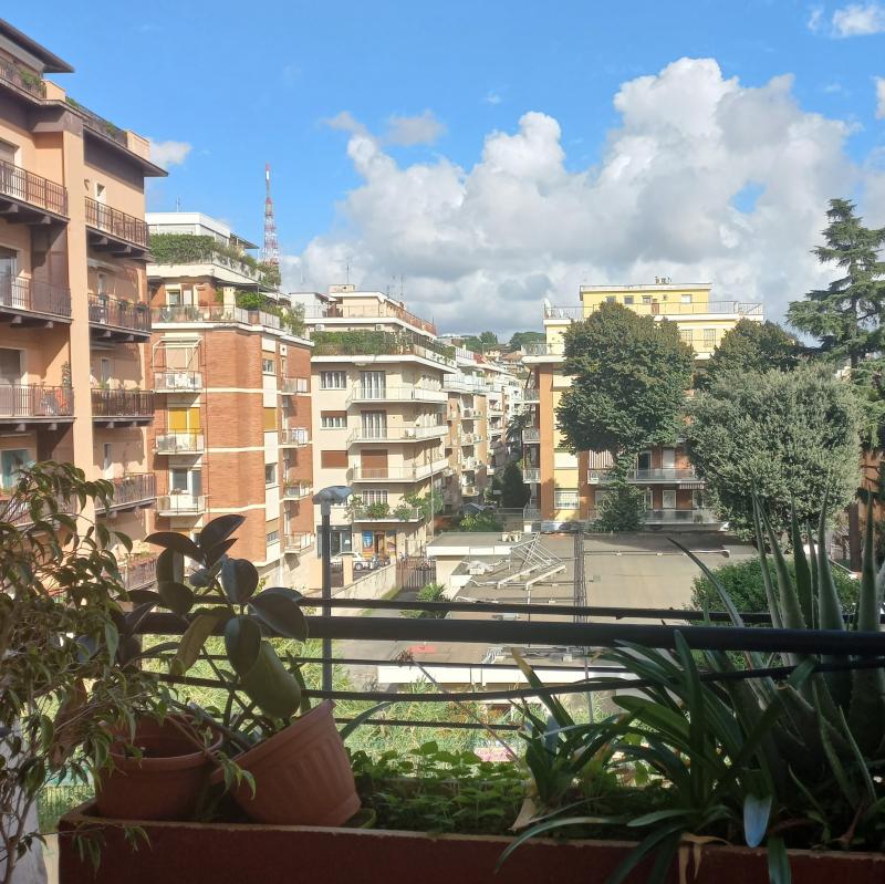 Fotosegnalazione di Roma trionfale