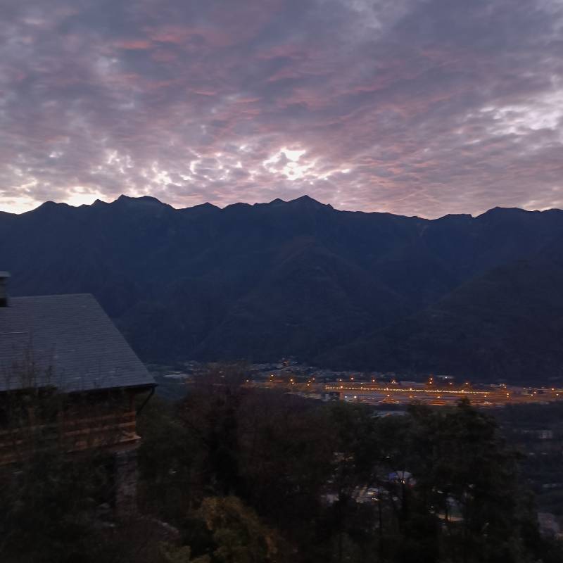 Fotosegnalazione di Beura cardezza