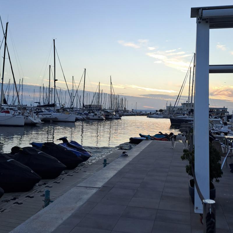 Fotosegnalazione di Santa pola