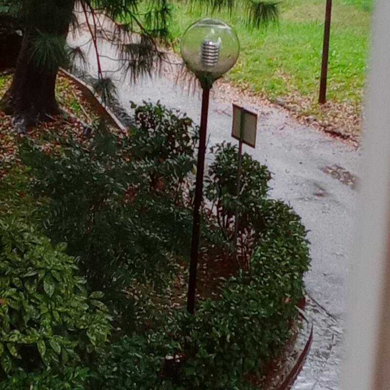 Fotosegnalazione di Milano forlanini