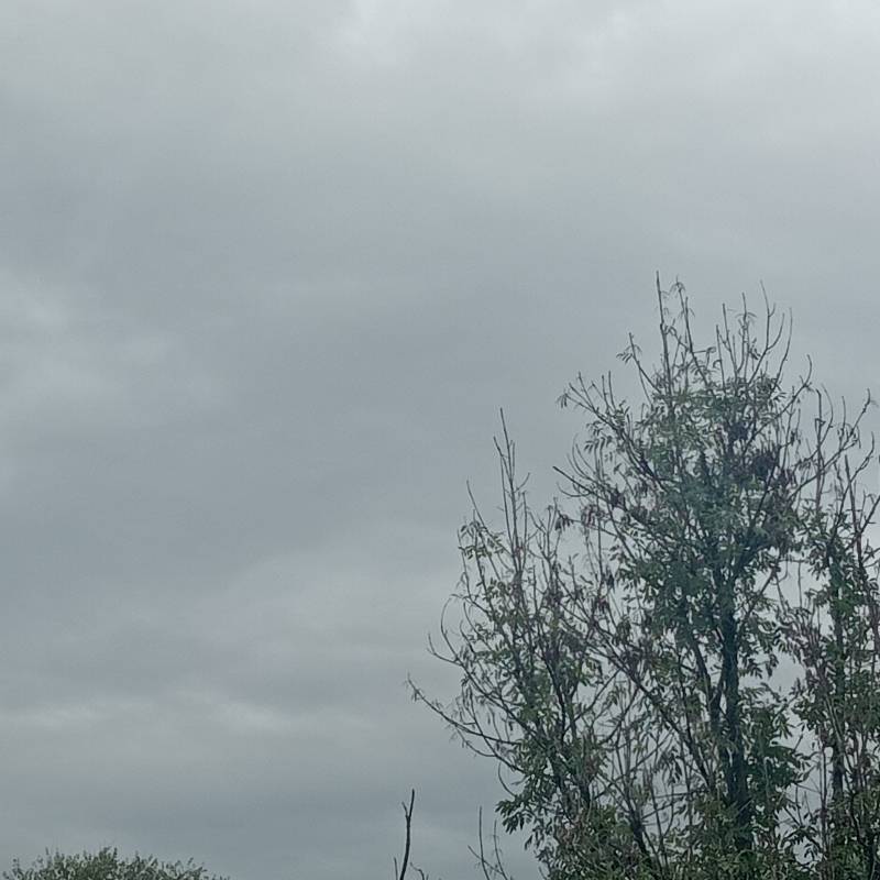 Fotosegnalazione di Cene