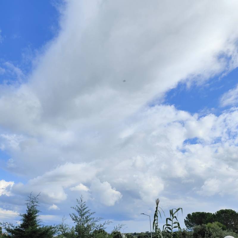 Fotosegnalazione di Castiglione della pescaia