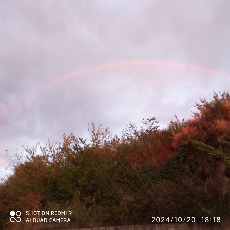 Fotosegnalazione di Palombara sabina