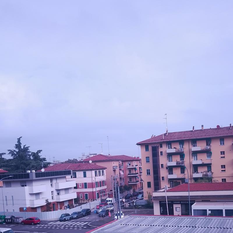 Fotosegnalazione di Bologna savena