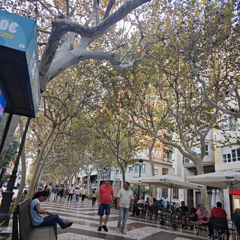 Fotosegnalazione di Gandia