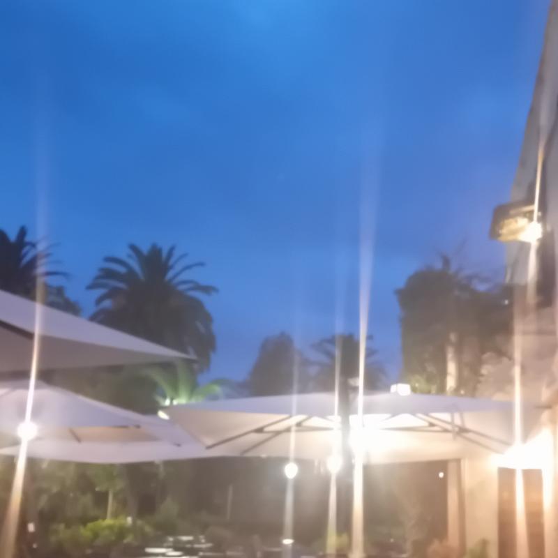 Fotosegnalazione di Fiumicino