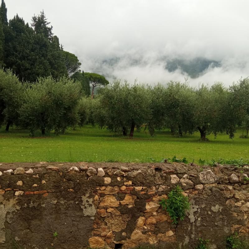 Fotosegnalazione di Palombara sabina