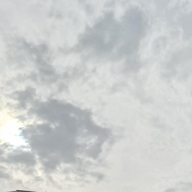 Fotosegnalazione di Roma aurelio