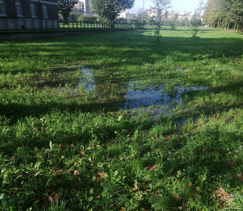 parco generale dalla chiesa_2810