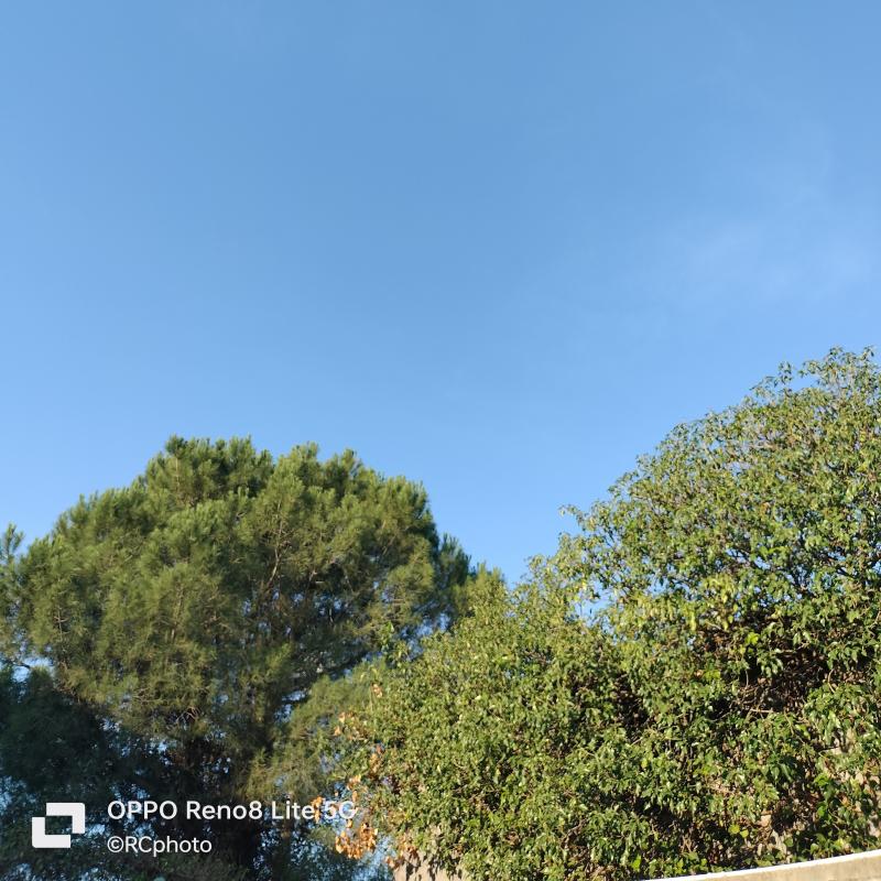 Fotosegnalazione di San giovanni la punta