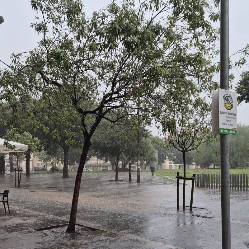 Fotosegnalazione di Ciutat vella