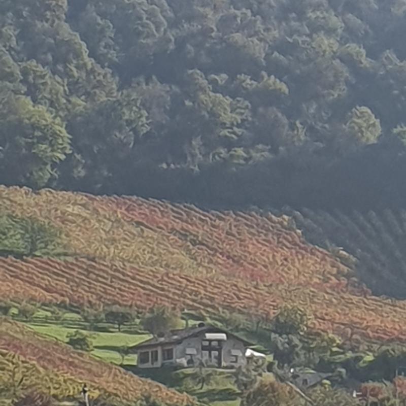 Fotosegnalazione di Villa di serio