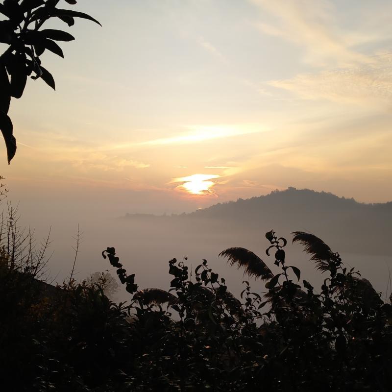 Fotosegnalazione di Moncestino