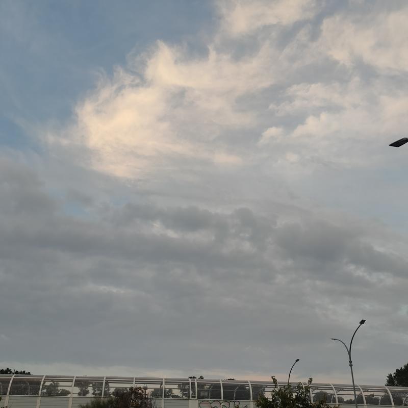 Fotosegnalazione di Borghesiana
