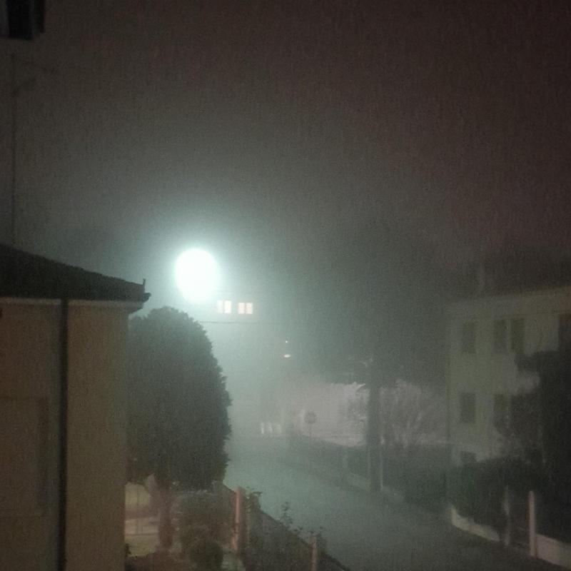 nebbia a cologna veneta