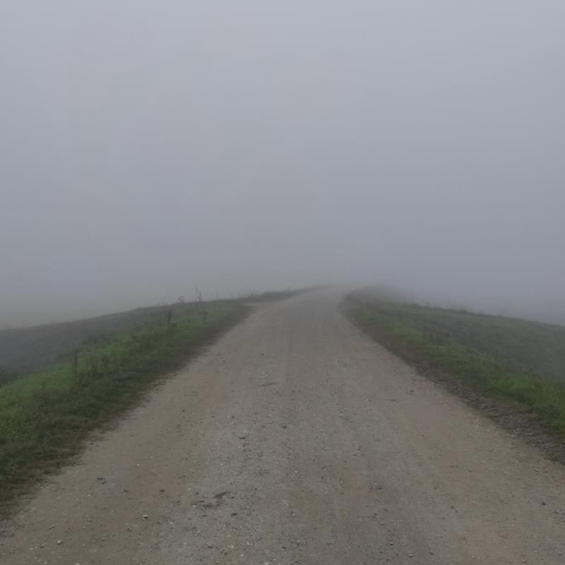 Fotosegnalazione di Pieve porto morone
