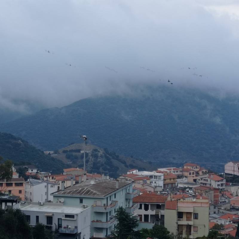 Fotosegnalazione di Nuoro centro urbano