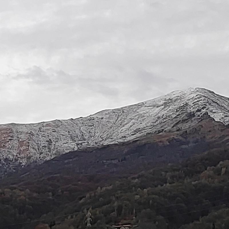 Fotosegnalazione di Forno canavese