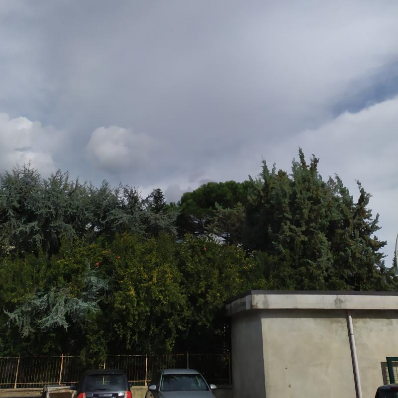 Fotosegnalazione di Santa maria a vico