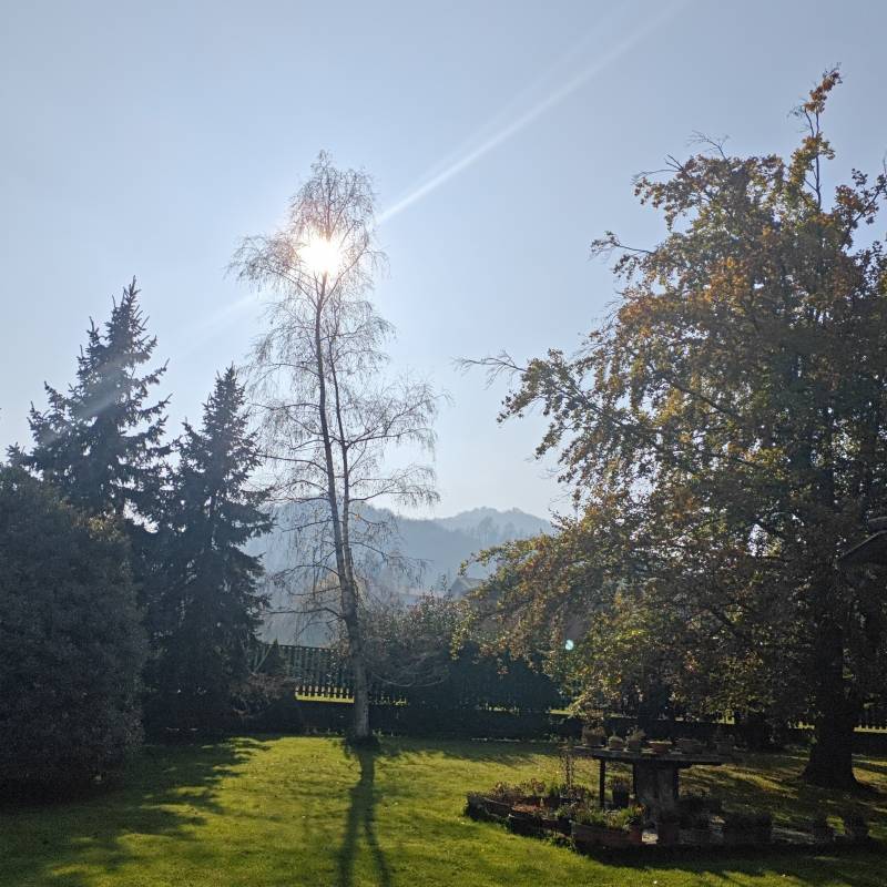 Fotosegnalazione di Roccaforte mondovi'