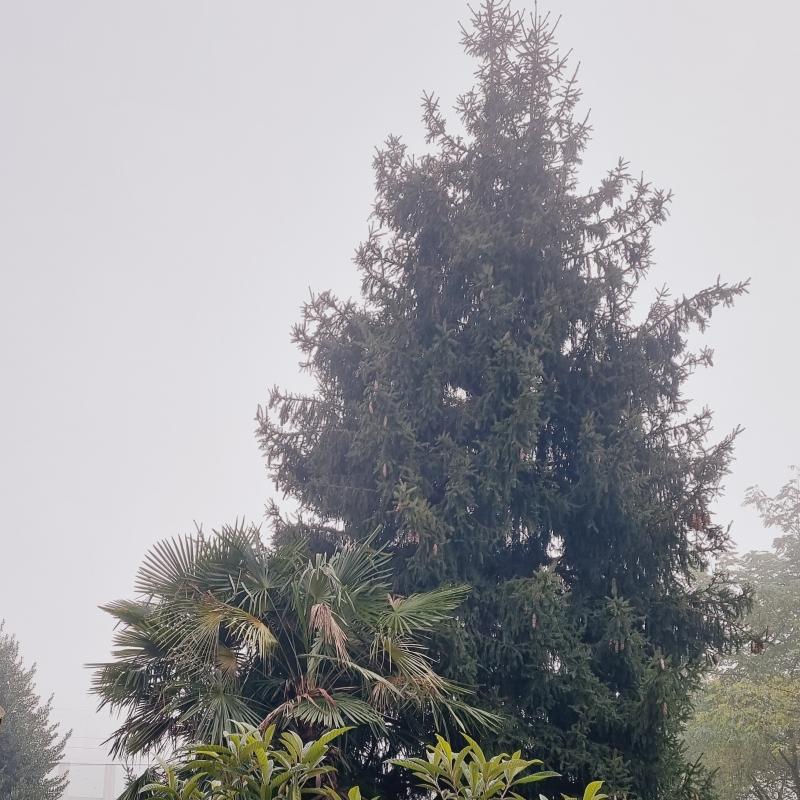Fotosegnalazione di Turbigo
