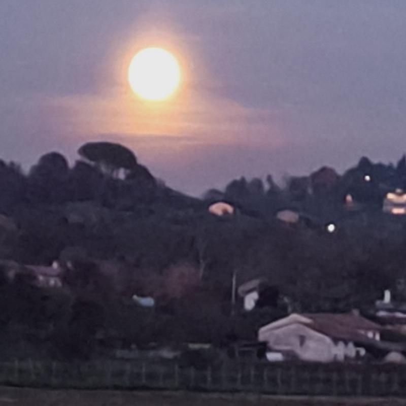 Fotosegnalazione di Romano d'ezzelino