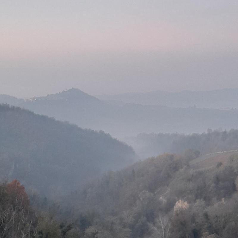 Fotosegnalazione di Cocconato