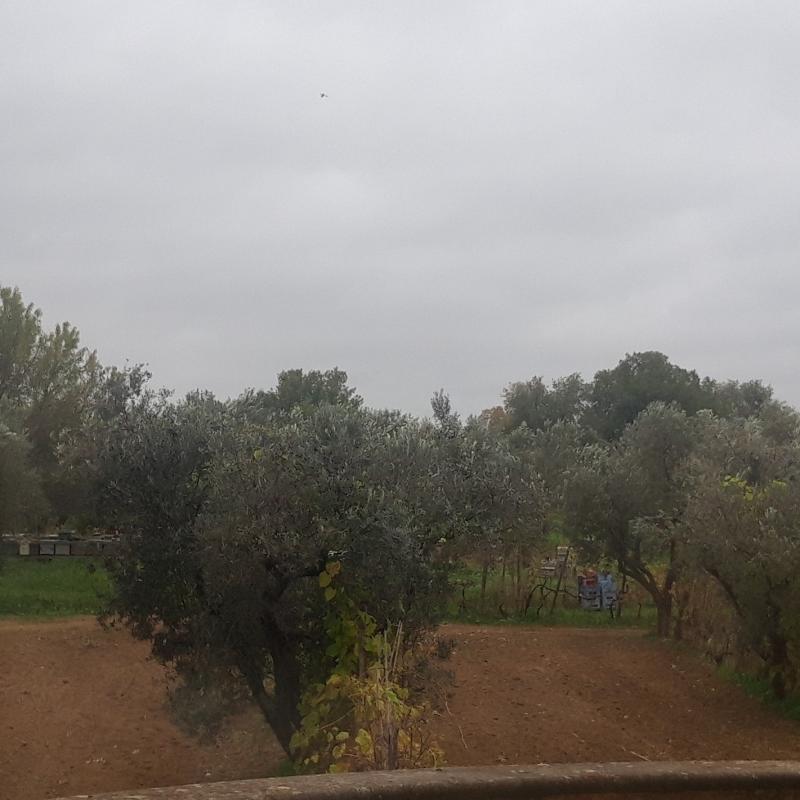 Fotosegnalazione di Viterbo sud-ovest