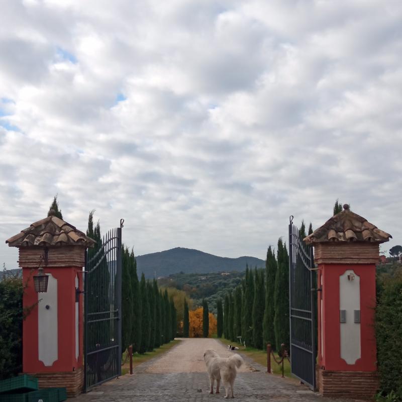 Fotosegnalazione di Palombara sabina