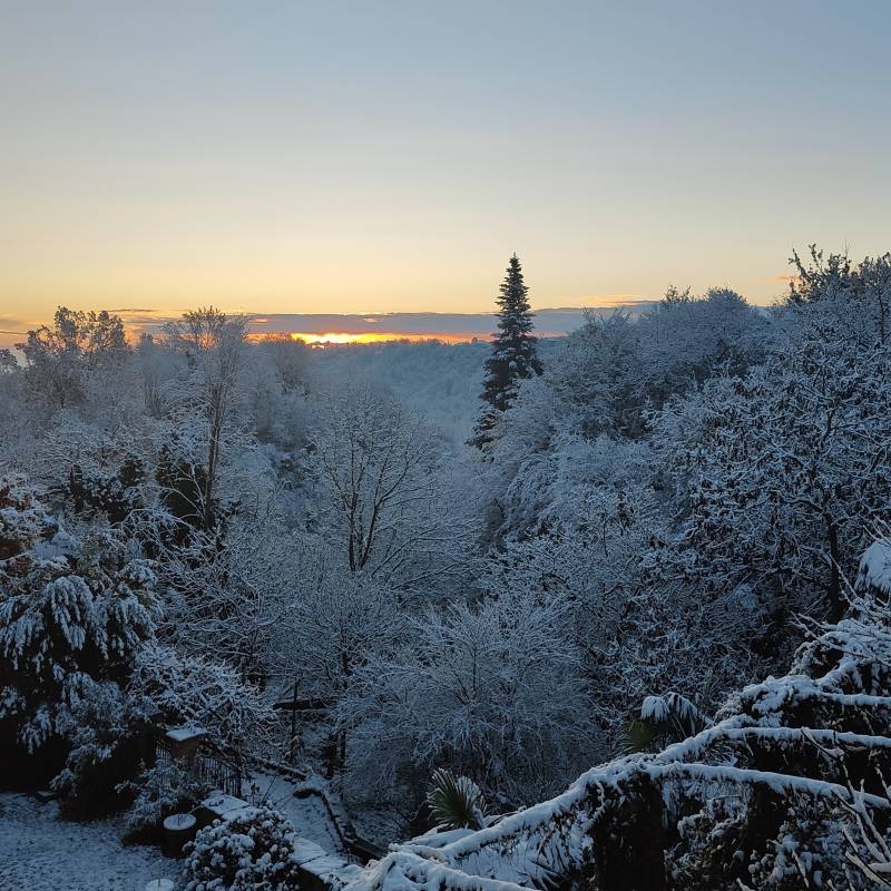 Fotosegnalazione di Barbania